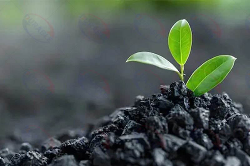 biochar
