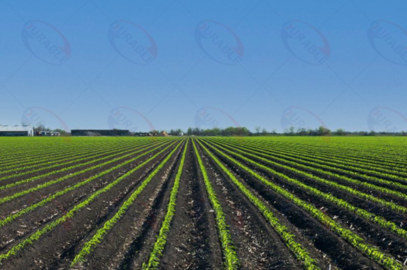 fertilise crops