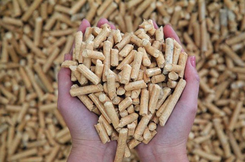 Biomass Fuel Pellets