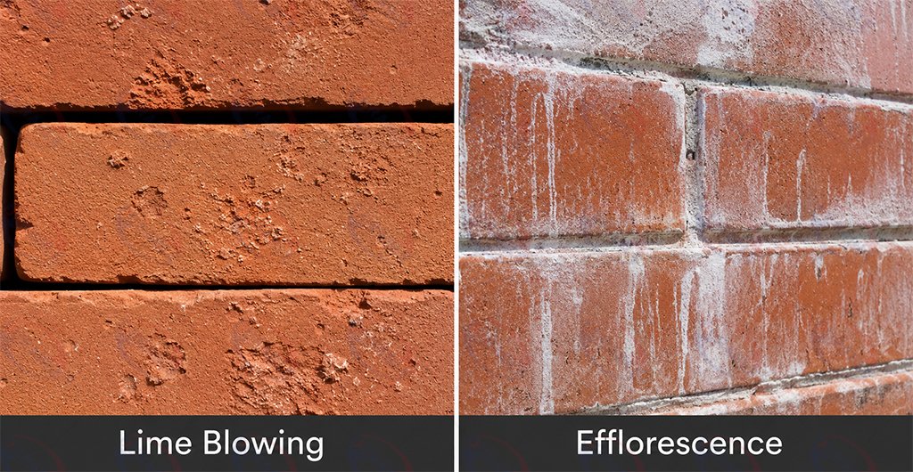 Lime blowing and efflorescence defects on fired clay bricks