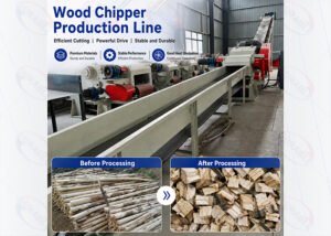 Why More Biomass Plants Are Switching to Drum C... Why More Biomass Plants Are Switching to Drum C...