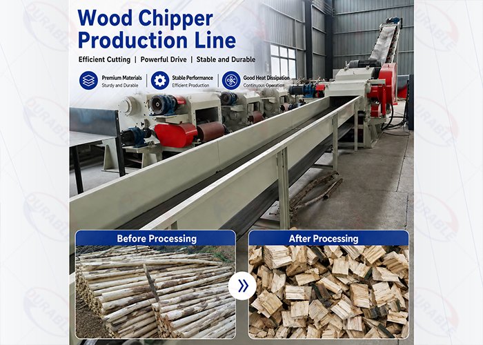 Why More Biomass Plants Are Switching to Drum C...